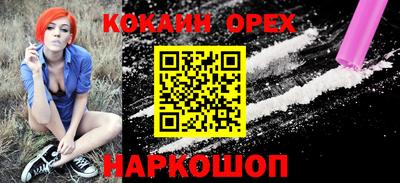 ешки Кингисепп