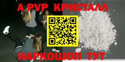 ешки Кингисепп