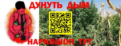 ешки Кингисепп