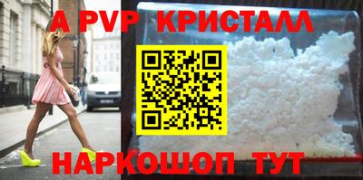ешки Кингисепп
