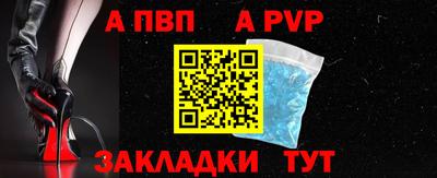 ешки Кингисепп