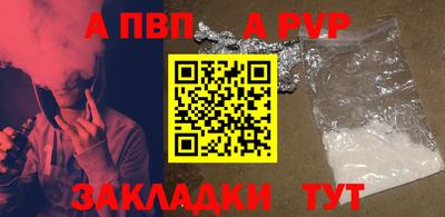 ешки Кингисепп