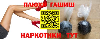ешки Кингисепп