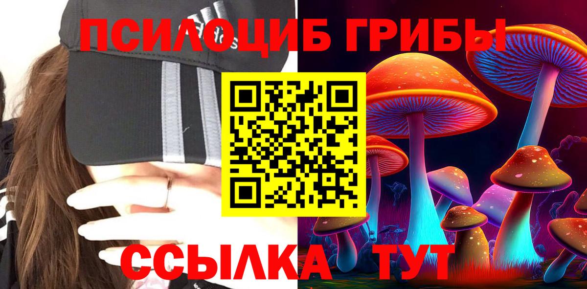 Псилоцибиновые грибы Cubensis Лесосибирск